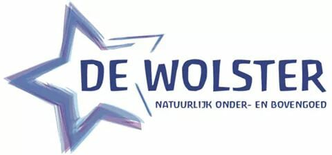 logo_wolster